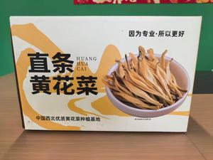 黄花菜